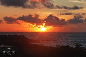 Gallery Thumbnail 9